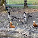 La Seigneurie De Alojamento de Acomodação e Pequeno-almoço Tillac