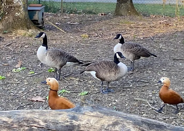 La Seigneurie De Bed and breakfast Tillac