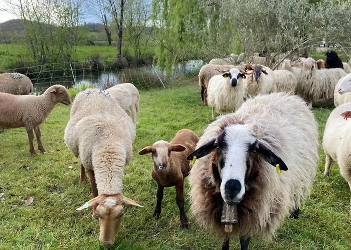 La Seigneurie De Bed and breakfast 3*