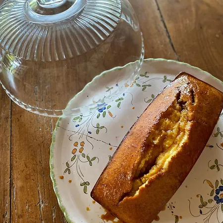 La Seigneurie De Panzió Tillac