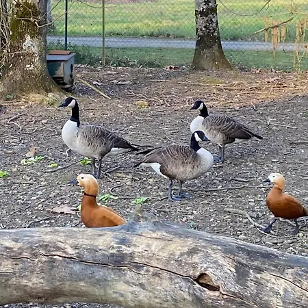 La Seigneurie De Panzió Tillac