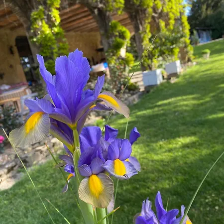 Panzió La Seigneurie De Tillac