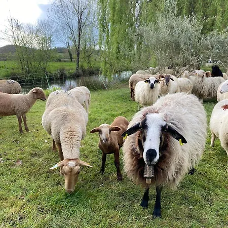 La Seigneurie De 住宿加早餐酒店 4*