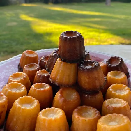 La Seigneurie De Panzió Tillac