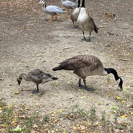 Panzió La Seigneurie De Tillac